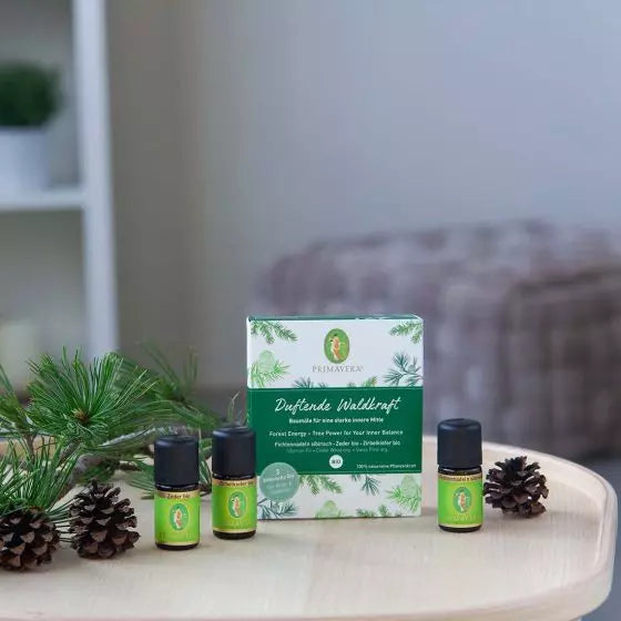 Set Duftende Waldkraft Baumöle für feste Wurzeln