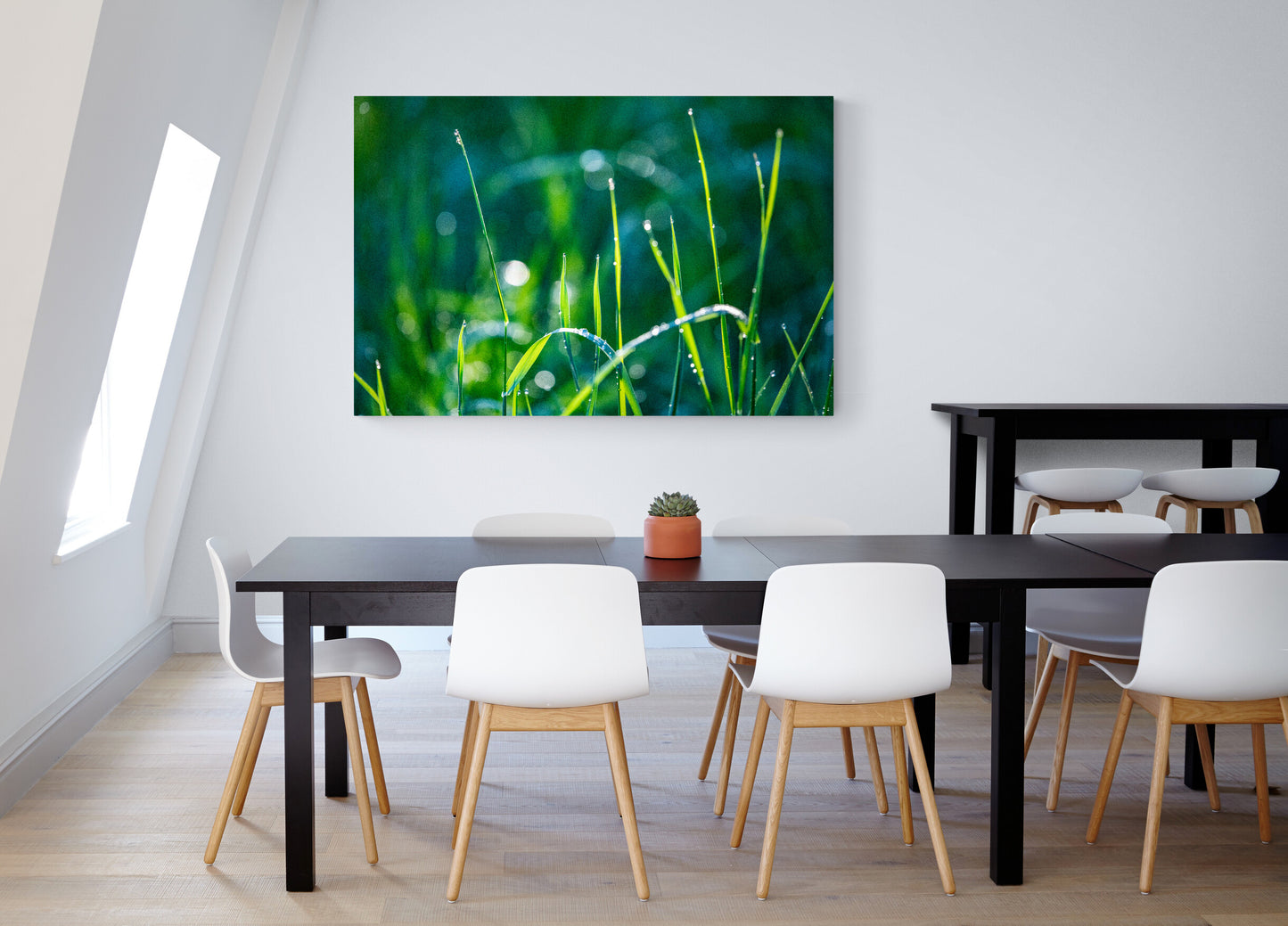 Fotografie Element Holz, Tau