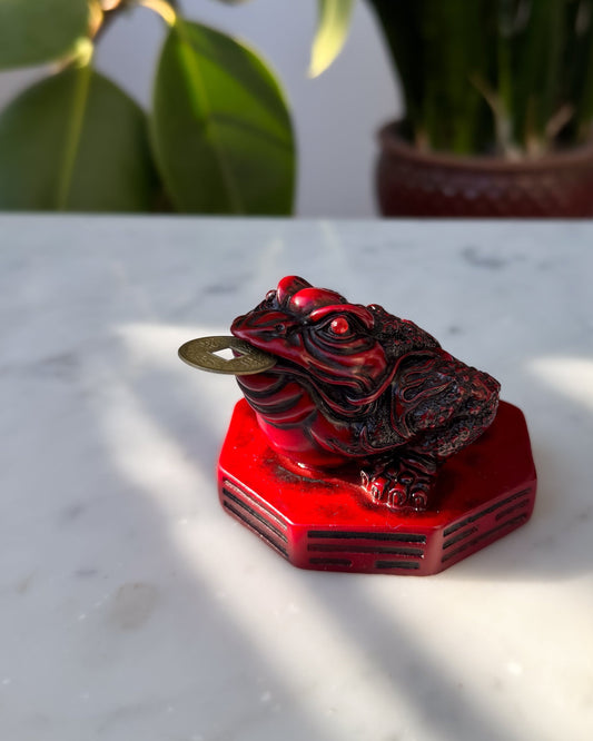Geldfrosch: Dein Feng Shui Glücksbringer für Zuhause