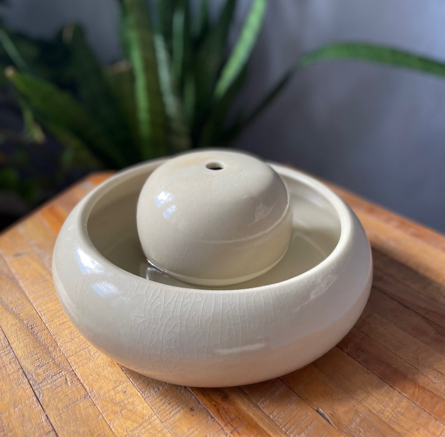 Feng Shui Zimmerbrunnen Mint auf Holztisch mit Pflanze im Hintergrund
Feng Shui Wasserbrunnen Mint im Wohnzimmer neben Sofa
Feng Shui Brunnen Mint im Garten mit Vogel am Wasser