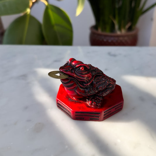 Geldfrosch: Dein Feng Shui Glücksbringer für Zuhause
