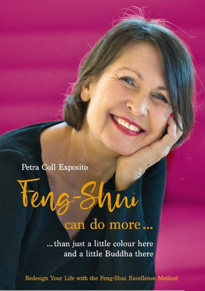Feng Shui book: Feng-Shui can do more...than just a little colour here and a little Buddha there