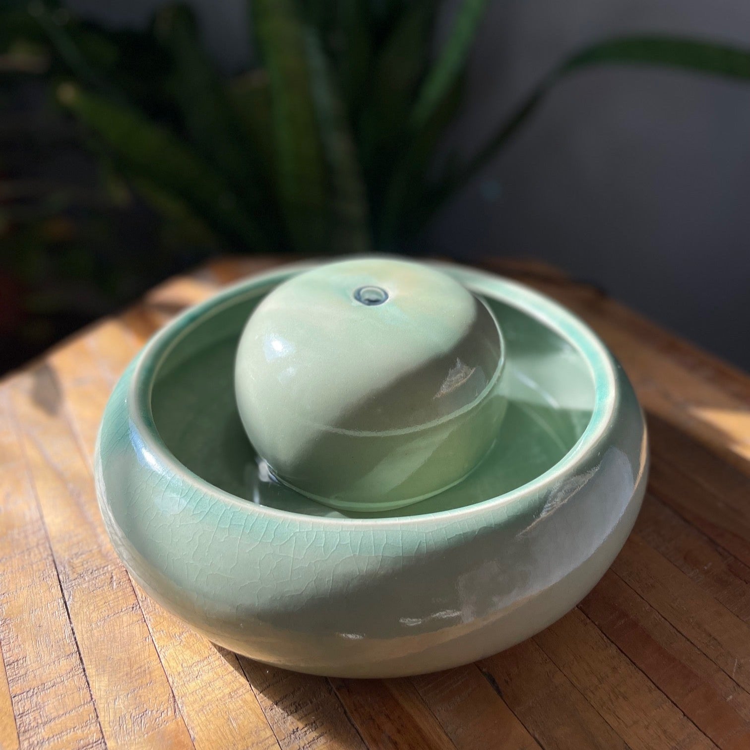 Feng Shui Zimmerbrunnen Mint auf Holztisch mit Pflanze im Hintergrund

Feng Shui Wasserbrunnen Mint im Wohnzimmer neben Sofa

Feng Shui Brunnen Mint im Garten mit Vogel am Wasser
