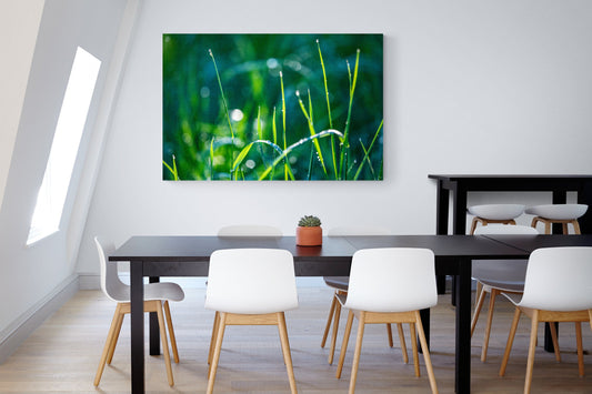 Fotografie Tau - Element Holz