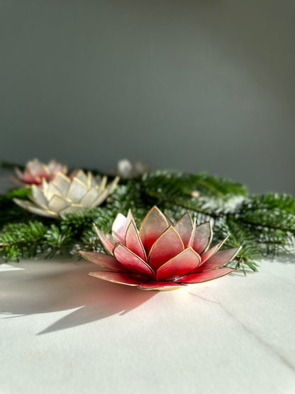 Für sinnliche Feiertage: Lotus Adventskranz