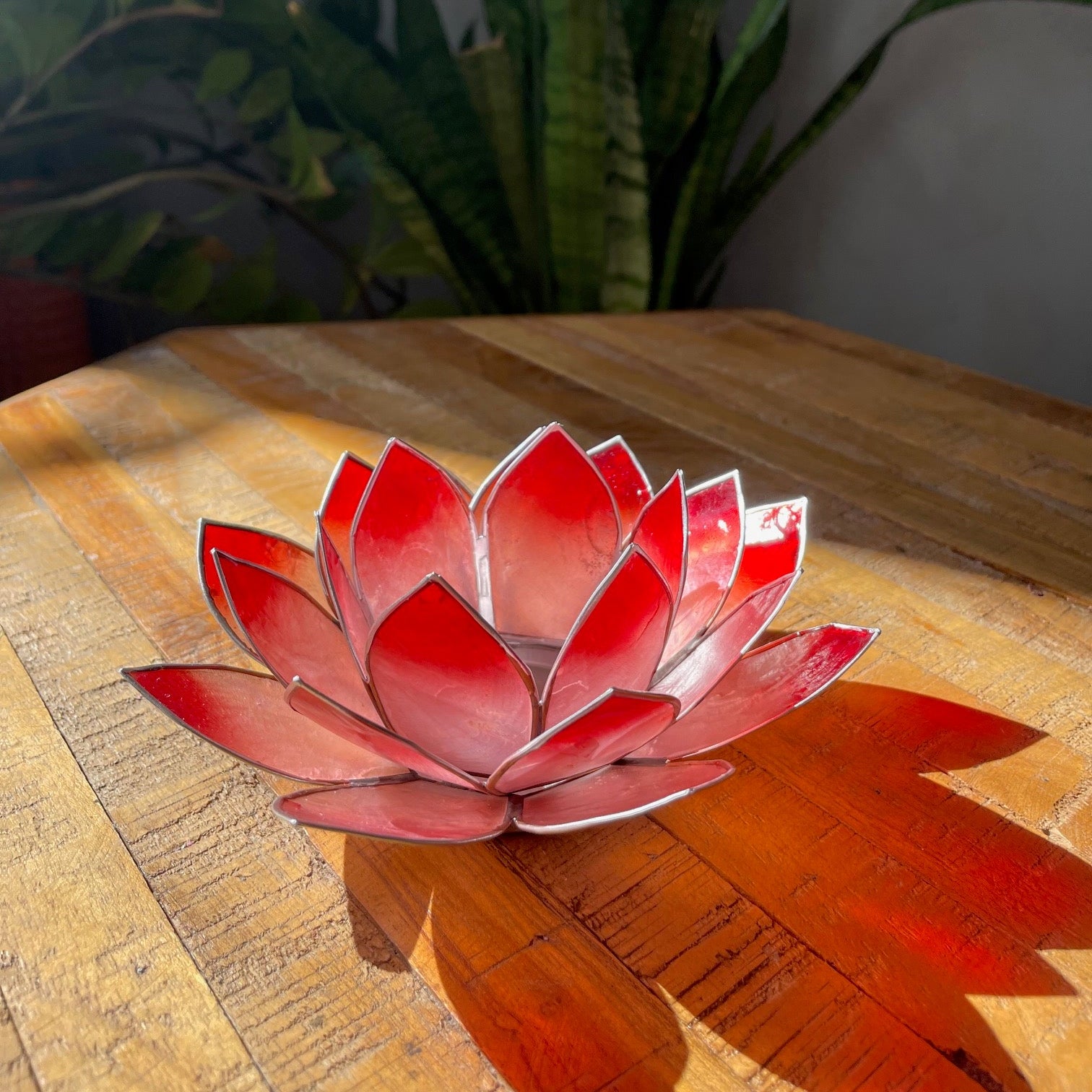 Lotusblume Kerzenhalter aus Muscheln
