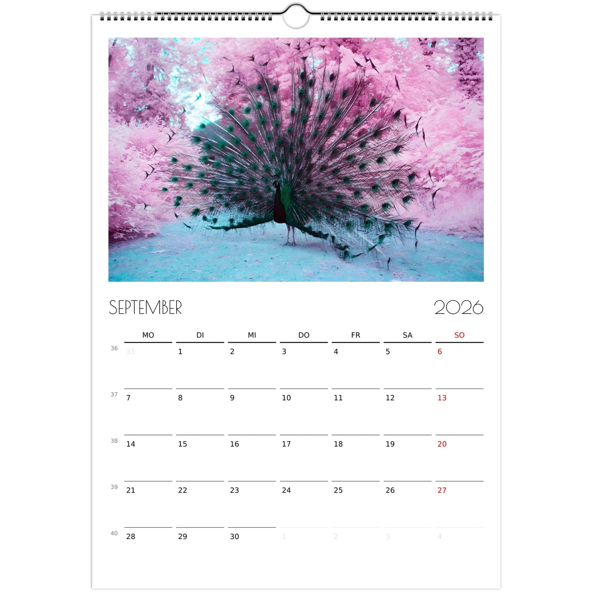 b54e67d7-6759-4ae4-8e0d-960534b5eec4